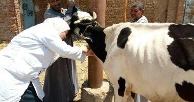 جامعة بنها تنظم قافلة بيطرية بقرية كفر عابد بمركز طوخ