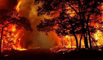   البنتاجون ينشر 700 جندي للمساعدة في مكافحة حرائق الغابات في "هاواي"