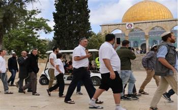   ​مُستوطنون إسرائيليون يعتدون على طفل مقدسي ويؤدون طقوسا تلمودية بالأقصى