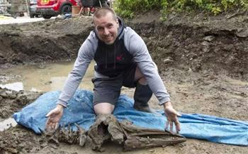  عمرها 8 آلاف عام.. عثور مواطن اسكتلندي على عظام دولفين في حديقته