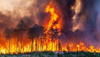   أسبانيا تواجه أسوأ موجة لحرائق الغابات في تاريخها