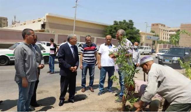 محافظ المنيا يتابع زراعة أشجار زينة ضمن مبادرة 100 مليون شجرة