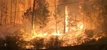   حرائق الغابات تجبر السلطات الكندية على إخلاء مدينة يلونايف من سكانها