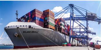  ميناء دمياط: تداول 36 سفينة حاويات وبضائع عامة