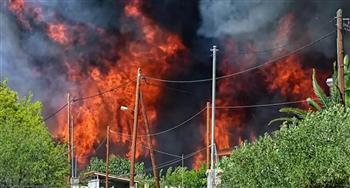   السلطات اليونانية تأمر بإخلاء قريتين إثر نشوب حريق غابات جديد قرب "أثينا"