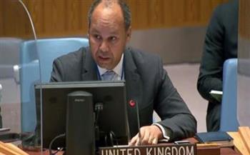   مندوب بريطانيا بمجلس الأمن يدعو الأطراف الليبية لتقديم «تنازلات»