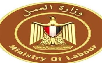 مجانا.. العمل تفتح باب التقديم في دورات للتدريب المهني بالدقهلية