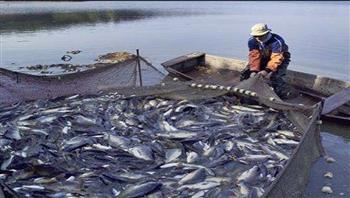   الثروة السمكية ينظم ندوة حول الاستزراع السمكي في ظل التغيرات المناخية
