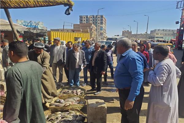 حملة تفتيشية مكبرة بمركزي قنا وأبوتشت