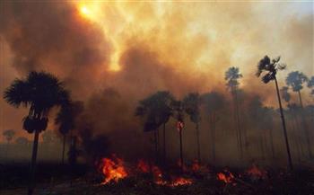   حرائق الغابات.. حصيلة المفقودين جراء حرائق هاواي بلغت 388 شخصا