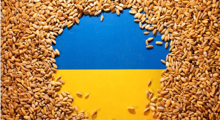 مسؤول أمريكي: هناك طرق بديلة لتصدير الحبوب الأوكرانية بحرا وبرا