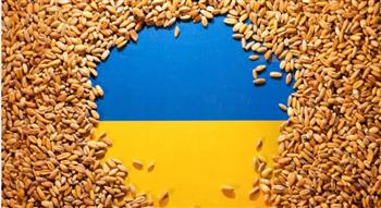   مسؤول أمريكي: هناك طرق بديلة لتصدير الحبوب الأوكرانية بحرا وبرا