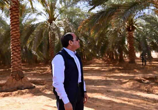 الرئيس السيسي للإعلاميين بـ توشكى: دوركم مهم في معركة الوعي ونسعى لزيادة رقعة زراعة القمح إلى 4 ملايين فدان