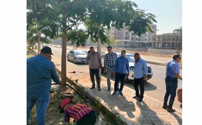 رئيس جهاز الشروق يوجه بشن حملات مكثفة لرعاية وصيانة المسطحات الخضراء 