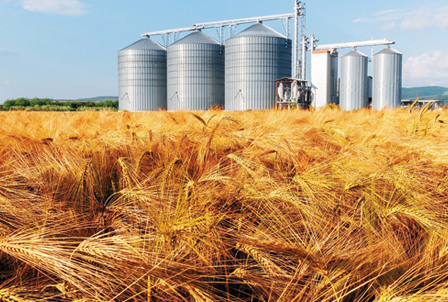 اتفاقية مع الإمارات بـ500 مليون دولار لتمويل الاستيراد.. تأمين واردات القمح
