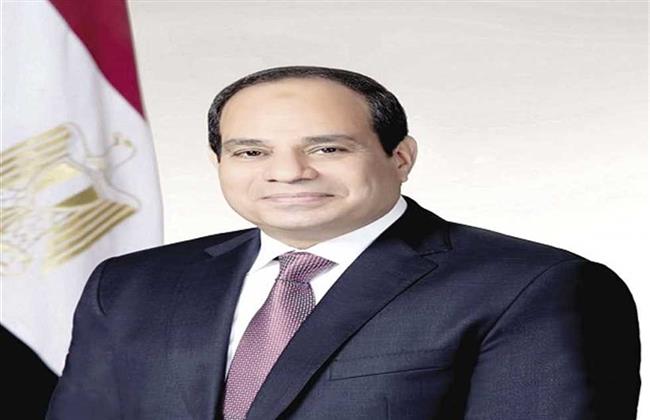 حماة الوطن يعتزم تنظيم زيارات للمحافظات لوضع آليات دعم ترشح الرئيس السيسي لولاية جديدة