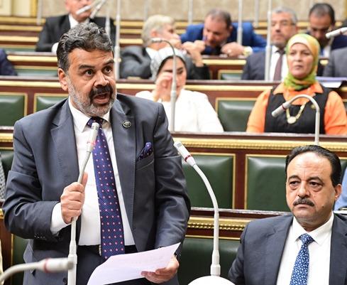الوليلي: دور مصر فى إنهاء أزمات المنطقة لا غنى عنه باعتراف واشنطن