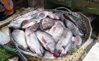   البلطي بـ 54 جنيها.. أسعار الأسماك اليوم في الأسواق 