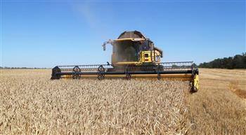   مسئول أوكراني: 30% من المزارعين في أوكرانيا قد يقللون من المحاصيل الشتوية هذا العام
