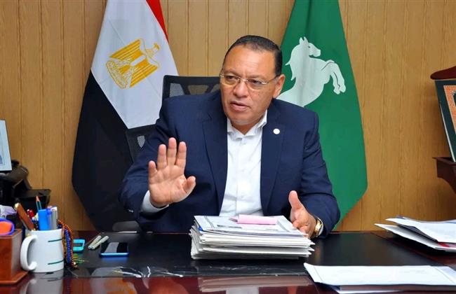 حملات رقابية على الأنشطة التجارية بنطاق مركز ومدينة بلبيس
