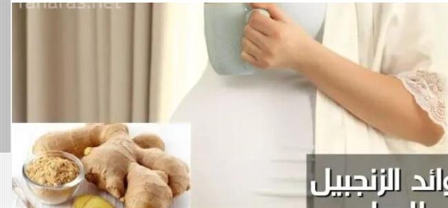 يخفف من أعراض الحمل المزعجة.. الزنجبيل وفوائده