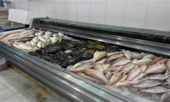   «ماكريل و مكرونة».. ضبط 120 كجم لحوم وأسماك غير صالحة للاستهلاك بالإسماعيلية