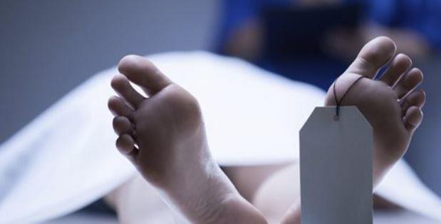 مصرع شاب أسفل جرار زراعى محمل بـ الطوب فى الدقهلية