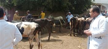   تنفيذ قافلة سكانية شاملة بقرية النبيرة بإيتاي البارود بالتنسيق مع جامعة دمنهور
