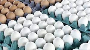 انهيار أسعار البيض اليوم بالأسواق
