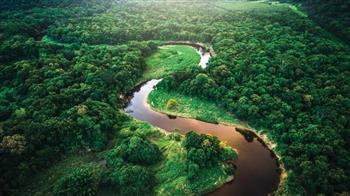 البرازيل تستضيف قمة لاتينية لإنقاذ الأمازون