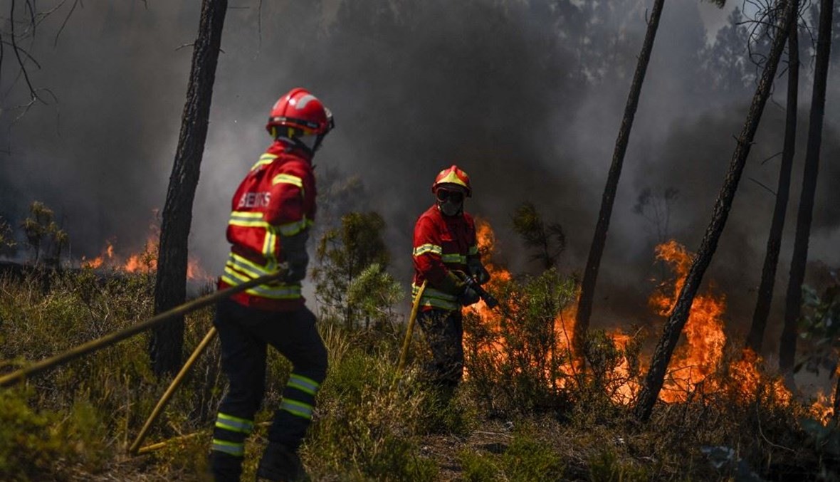 آلاف الهكتارات معرضة للخطر.. البرتغال تكافح حرائق غابات