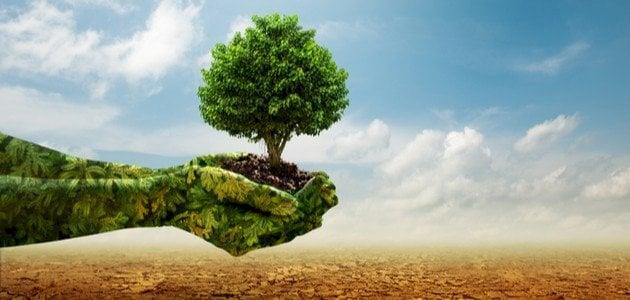 "الحر وسنينه".. البحث عن حلول لمواجهة "تغيرات المناخ"