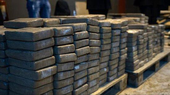 قيمتها 5.6 مليون جنيه.. ضبط 800 طربة حشيش بحوزة عناصر إجرامية بالشرقية والإسكندرية 