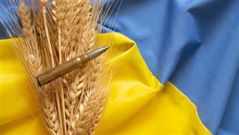   الولايات المتحدة تشدد على الحاجة "الملحة" لاستئناف تدفق الحبوب الأوكرانية عبر البحر الأسود