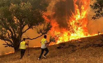   إسبانيا.. الحرائق تلتهم 600 هكتار من الغابات