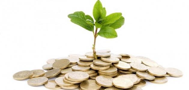 8 أمور تجلب البركة في الرزق 