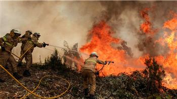   حريق غابات في البرتغال يصيب 11 شخصا ويلتهم 7 آلاف هكتار