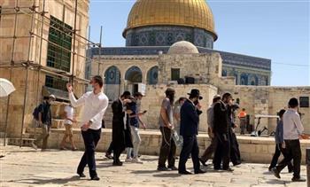 مستوطنون يقتحمون الأقصى والاحتلال الإسرائيلي يعتقل قياديا بحركة فتح