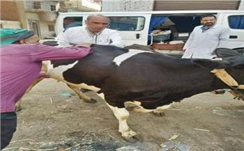 جامعة الزقازيق توجه قافلة بيطرية لقرية كفر أبو جبل بالشرقية