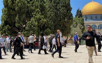   عشرات المستوطنين الإسرائيليين يقتحمون باحات "الأقصى" بحماية شرطة الاحتلال