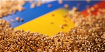   أوكرانيا: ارتفاع إجمالي محصول الحبوب إلى 55 مليون طن في 2023