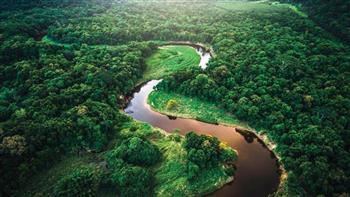   قادة دول أمريكا الجنوبية يجتمعون في قمة حاسمة لحماية غابات الأمازون