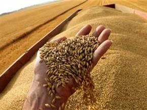   هل يؤدى انسحاب روسيا من «اتفاقية الحبوب» إلى أزمة غذاء عالمية؟ 