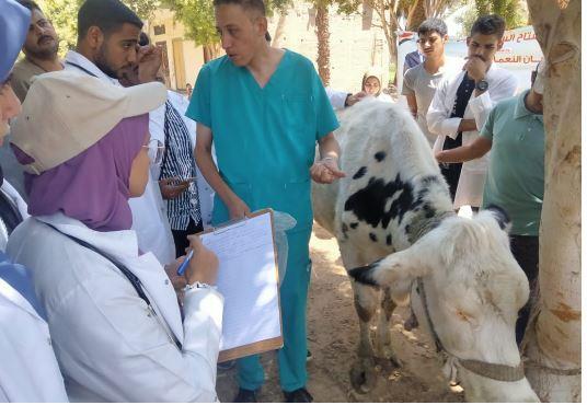 بالمجان.. فحص 310 حيوانات بقافلة جامعة سوهاج البيطرية