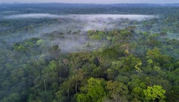   أوقف إزالة الغابات.. «الجابر» يشيد بجهود الرئيس البرازيلي 