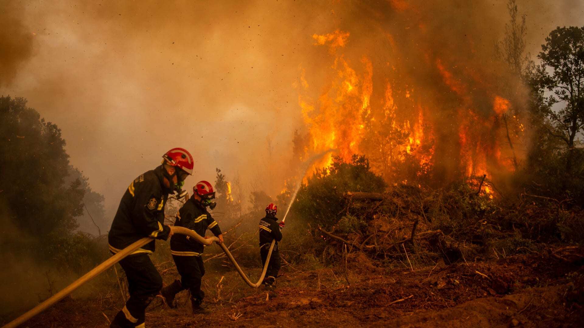 اليونان.. إنقاذ 25 مهاجرا حاصرتهم الحرائق داخل غابة قرب الحدود التركية