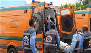 مصرع شابين في حادث تصادم بكفر الزيات