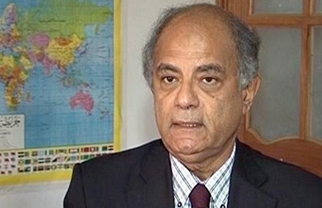 السفير حسين هريدي: قمة العشرين نجحت فى حوكمة المؤسسات الاقتصادية الدولية