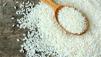   غرفة الحبوب: توقعات بانخفاض أسعار الأرز خلال الموسم الحالي