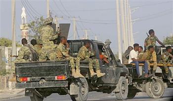   الصومال: مقتل 30 من المليشيات الإرهابية في عملية عسكرية وسط البلاد